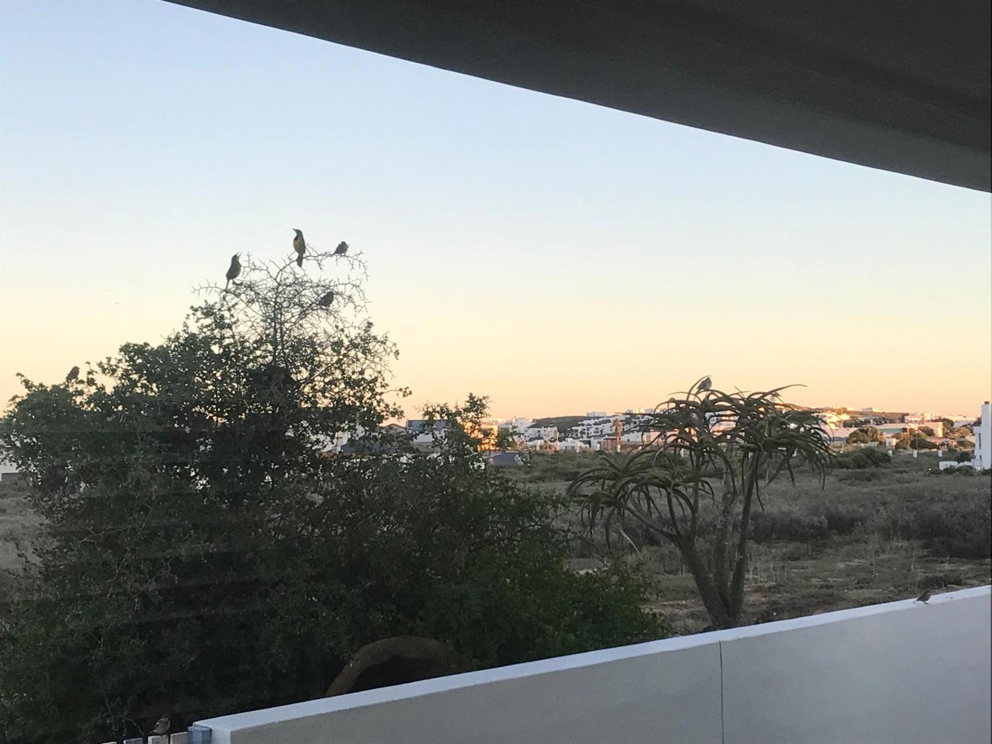 Perfect 10 - 10 To 13 Sleeper Luxury Holiday Home Breakage Deposit Of R2500 Per Weekend Lease 兰格班 外观 照片